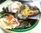 Foto langkah ke 1 dari resep Kepiting sauce padang.