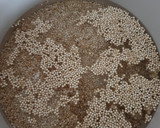Foto del paso 1 de la receta: Quinoa tres delicias con Lékué