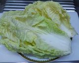 รูปขั้นตอนการทำที่ 1 ของ ผักกาดขาวสอดไส้อบหม้อดิน #กินผักรักสุขภาพ4