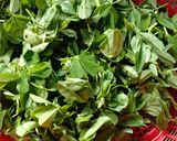 મેથીની ભાજી ના થેપલા (Methi Thepla Recipe in Gujarati) રેસીપી સ્ટેપ1ફોટો