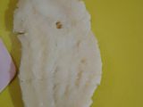 Pisang goreng kopong isi Fla Keju