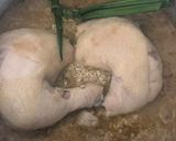 Gambar langkah 3 resipi Nasi Kurma Ayam & Jelatah.
