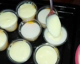 Foto langkah ke 10 dari resep Puding susu mangga.