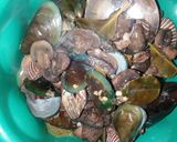 Foto langkah ke 5 dari resep Kerang hijau jamur Saus Tiram.
