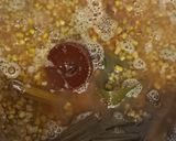 Foto langkah ke 3 dari resep Bubur Kacang Hijau (Metode Irit Gas).