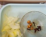 Foto langkah ke 1 dari resep Ayam / itiak Lado Mudo.