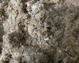 Foto del paso 1 de la receta: Galletas especiadas low carb, aptas keto y además súper tiernas y ricas!