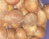 Foto langkah ke 2 dari resep Setup Salak.