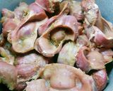 A picture of step 1 of Gizzard on a stick.