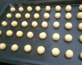 Foto langkah ke 4 dari resep Putri Salju Keju.