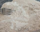 Foto del paso 2 de la receta: Pan Mignon con harina integral y 0000
