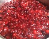 Cranberry Sauce recipe step 4 photo