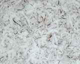 A picture of step 2 of Coconut chinchin.