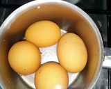 A picture of step 2 of Potato, Tuna, Mozzarella, and Egg Salad.