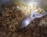 A picture of step 3 of Sprouts.