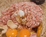Foto langkah ke 1 dari resep Cara Membuat Pangsit ala Jepang | Resep Gyoza 餃子.
