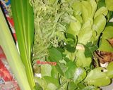 Foto langkah ke 2 dari resep Ayam Woku/Ayam RW.