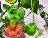A picture of step 6 of Watermelon Slush.