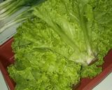 Foto langkah ke 1 dari resep Salad Korea (Sangchu Geotjeori).