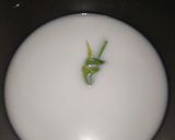 Foto langkah ke 4 dari resep Talam Jagung Takir🌽🌽.