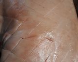 A picture of step 4 of Sour Orange Pork.