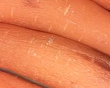 Foto del paso 7 de la receta: Tacos de suadero con consomé. 🐄