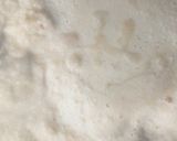 A picture of step 1 of Awara(tofu).