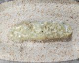 Foto del paso 5 de la receta: 🐟🐠🐡Barritas de merluza 🥶❄️Para congelar 🐟🐠🐡