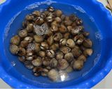 Foto langkah ke 1 dari resep Tumis Kerang Dara.
