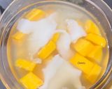 Foto langkah ke 4 dari resep 253. Es Degan Mangga.