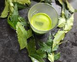 नीम का जूस(neem ka juice recipe in hindi) रेसिपी चरण 4 फोटो