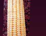 A picture of step 1 of Corns cucumber salad.