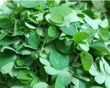 Hình bước làm 1 của món Canh rau chùm ngây nấu tôm
