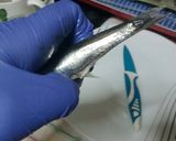 Foto del paso 3 de la receta: Como limpiar boquerones o anchoas