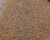A picture of step 1 of Til - jaggery chikki.