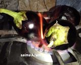 A picture of step 1 of Baingan (brinjal) ka bharta.