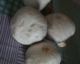 Foto del paso 1 de la receta: Crema de champiñones
