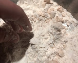 Foto del paso 1 de la receta: Pan tipo de campo integral con leche y miel, sin huevo súper húmedo