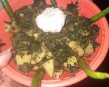 मेथी की सूखी सब्जी(methi ki sukhi sabzi recipe in hindi) रेसिपी चरण 3 फोटो