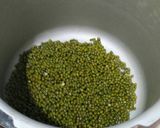Foto langkah ke 1 dari resep Kacang ijo presto.