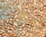 Foto del paso 2 de la receta: Sepias con Alubias Pintas y vegetales