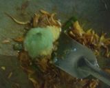 রুই মাছের মাথা দিয়ে মুগডাল রেসিপির ধাপ 4 ছবি