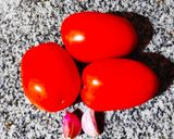 Foto del paso 1 de la receta: Salsa de tomate (receta base)