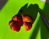 Foto del paso 2 de la receta El mejor sazonador del tomate