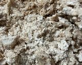 Foto del paso 5 de la receta Polvorones de canela. Tradición navideña!!
