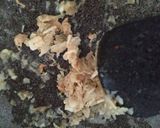 Foto langkah ke 4 dari resep Ayam Kung Pao Halal Version.