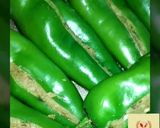 A picture of step 8 of Mirchi Vada.