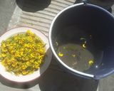 Foto del paso 1 de la receta: Tamal de chepil (ticoo srscula)