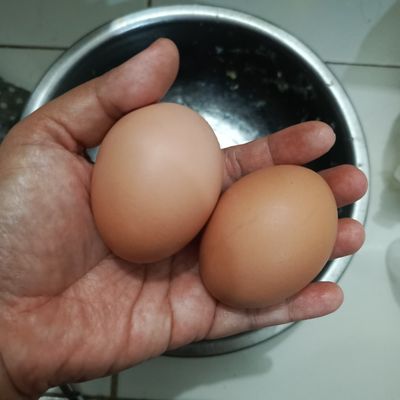 Langkah 9