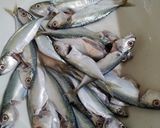 Foto langkah ke 1 dari resep Ikan Taneman Cabai Hijau.